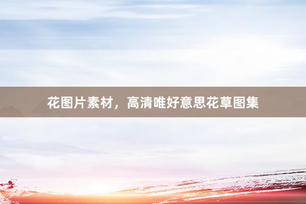 花图片素材，高清唯好意思花草图集