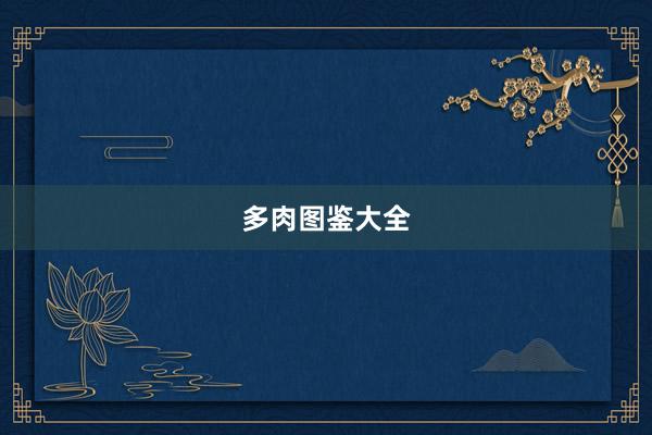 多肉图鉴大全